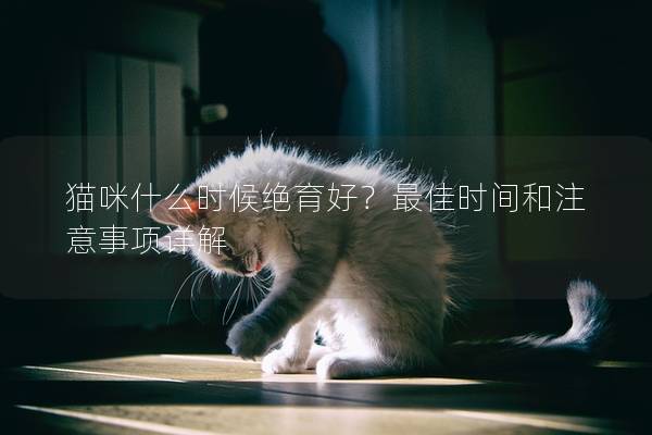 貓咪什么時(shí)候絕育好?最佳時(shí)間和注意事項(xiàng)詳解 貓咪什么時(shí)候絕育好?最佳時(shí)間和注意事項(xiàng)詳解