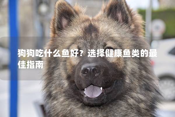 狗狗吃什么魚好？選擇健康魚類的最佳指南
