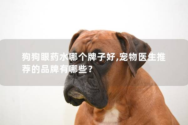 狗狗眼藥水哪個牌子好,寵物醫生推薦的品牌有哪些？