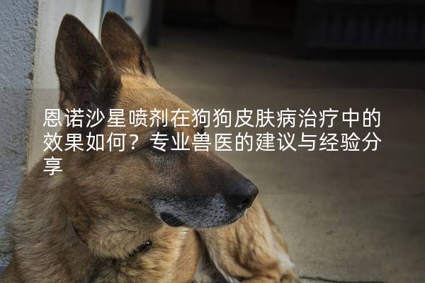 恩諾沙星噴劑在狗狗皮膚病治療中的效果如何？專業獸醫的建議與經驗分享