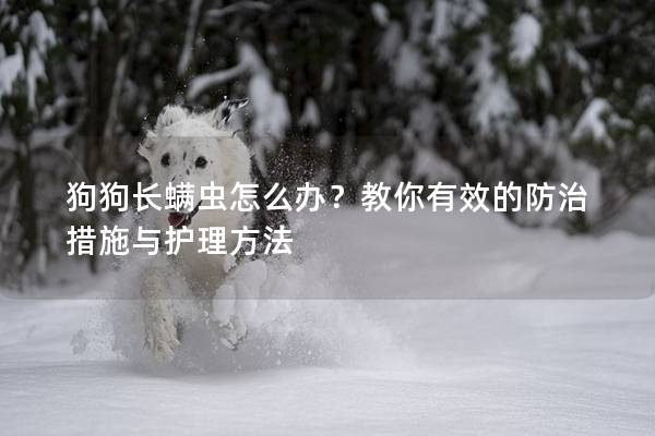 狗狗長螨蟲怎么辦?教你有效的防治措施與護理方法