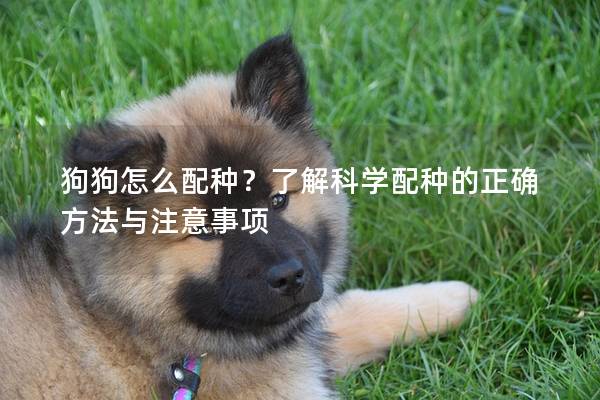 狗狗怎么配種？了解科學配種的正確方法與注意事項