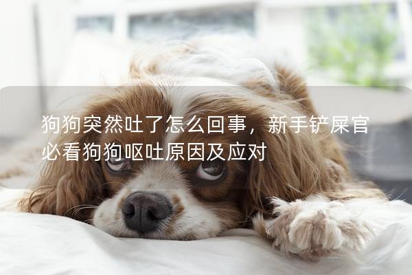 狗狗突然吐了怎么回事，新手鏟屎官必看狗狗嘔吐原因及應對