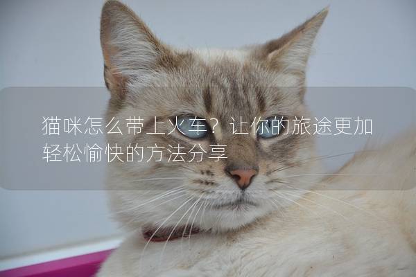 貓咪怎么帶上火車？讓你的旅途更加輕松愉快的方法分享