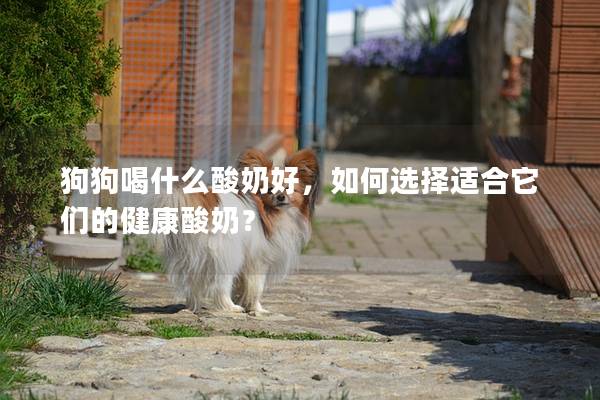 狗狗喝什么酸奶好，如何選擇適合它們的健康酸奶？