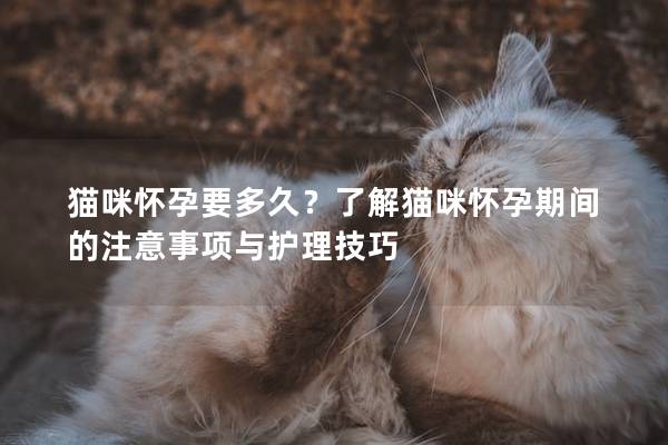 貓咪懷孕要多久？了解貓咪懷孕期間的注意事項與護理技巧