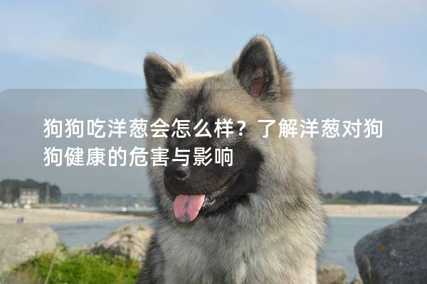 狗狗吃洋蔥會怎么樣？了解洋蔥對狗狗健康的危害與影響