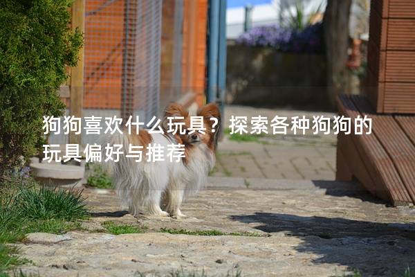 狗狗喜歡什么玩具？探索各種狗狗的玩具偏好與推薦