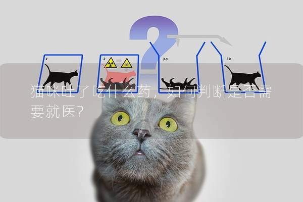 貓咪吐了吃什么藥，如何判斷是否需要就醫(yī)？