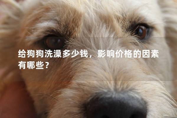 給狗狗洗澡多少錢,影響價格的因素有哪些? 給狗狗洗澡多少錢,影響價格的因素有哪些?