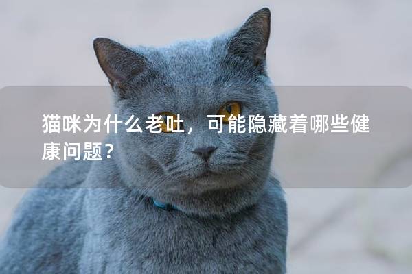 貓咪為什么老吐，可能隱藏著哪些健康問題？