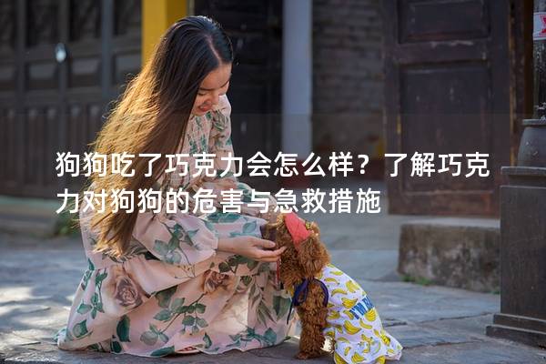 狗狗吃了巧克力會怎么樣？了解巧克力對狗狗的危害與急救措施