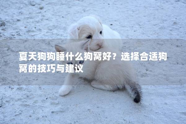 夏天狗狗睡什么狗窩好？選擇合適狗窩的技巧與建議