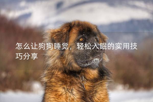 怎么讓狗狗睡覺，輕松入眠的實用技巧分享