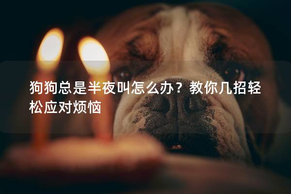狗狗總是半夜叫怎么辦？教你幾招輕松應(yīng)對(duì)煩惱