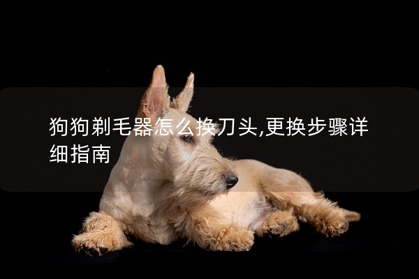 狗狗剃毛器怎么換刀頭,更換步驟詳細指南