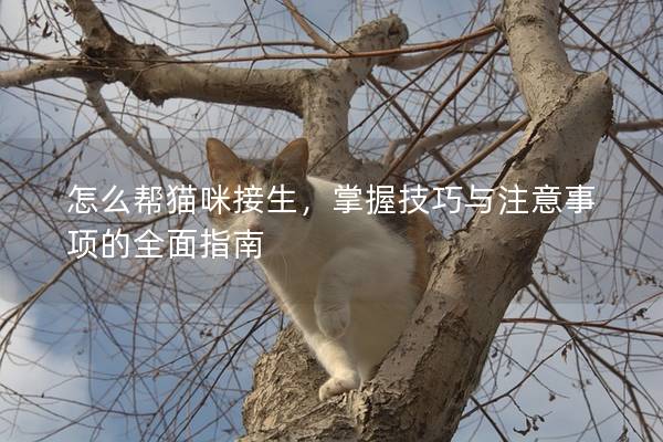 怎么幫貓咪接生，掌握技巧與注意事項的全面指南