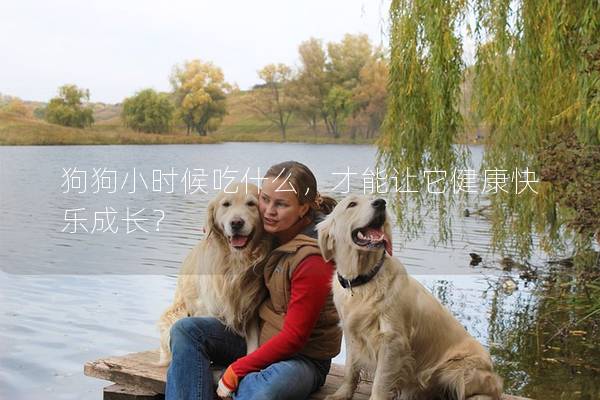 狗狗小時候吃什么，才能讓它健康快樂成長？