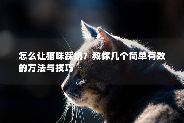 怎么讓貓咪踩奶？教你幾個簡單有效的方法與技巧