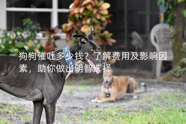 狗狗催吐多少錢?了解費用及影響因素,助你做出明智選擇 狗狗催吐多少錢?了解費用及影響因素,助你做出明智選擇