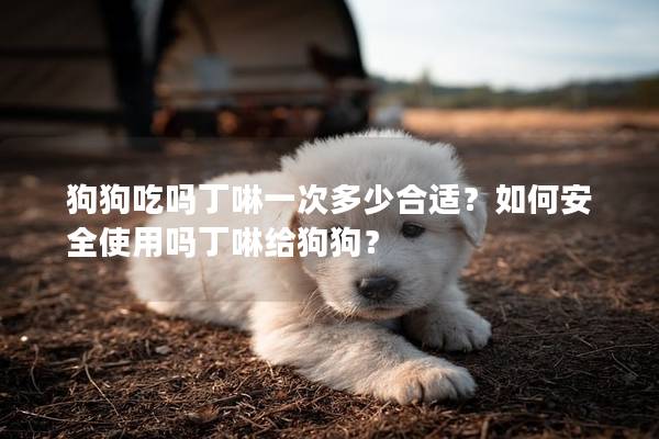 狗狗吃嗎丁啉一次多少合適？如何安全使用嗎丁啉給狗狗？