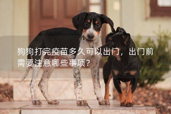 狗狗打完疫苗多久可以出門，出門前需要注意哪些事項？