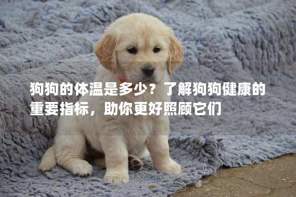 狗狗的體溫是多少？了解狗狗健康的重要指標，助你更好照顧它們