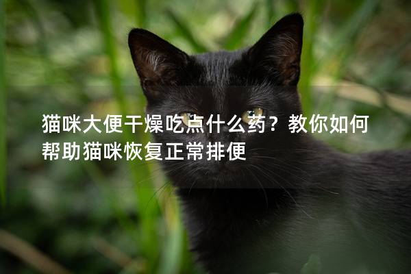 貓咪大便干燥吃點什么藥？教你如何幫助貓咪恢復正常排便