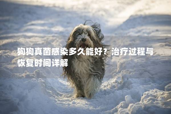 狗狗真菌感染多久能好？治療過程與恢復時間詳解
