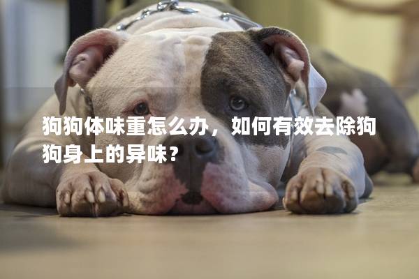 狗狗體味重怎么辦，如何有效去除狗狗身上的異味？