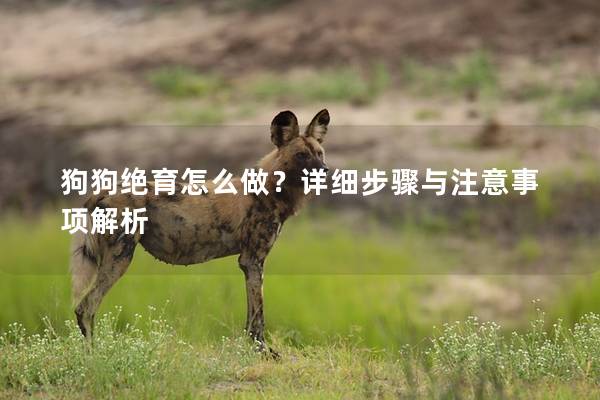 狗狗絕育怎么做？詳細步驟與注意事項解析