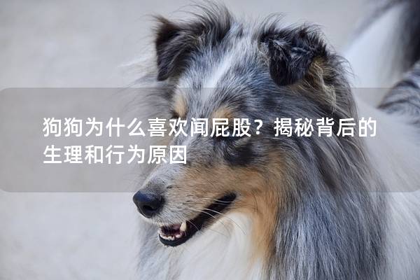 狗狗為什么喜歡聞屁股？揭秘背后的生理和行為原因