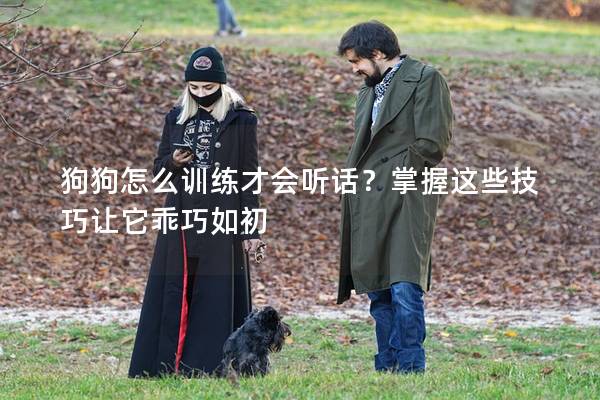 狗狗怎么訓練才會聽話？掌握這些技巧讓它乖巧如初