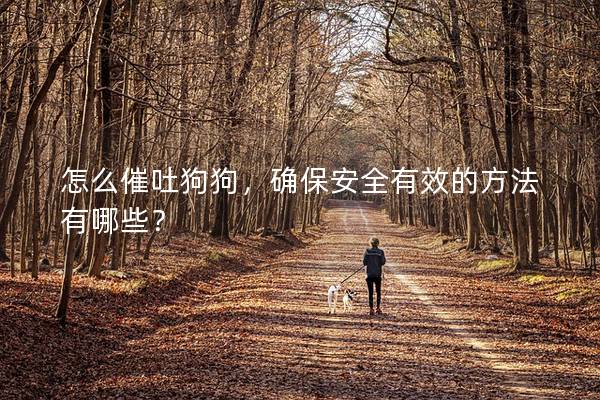 怎么催吐狗狗，確保安全有效的方法有哪些？