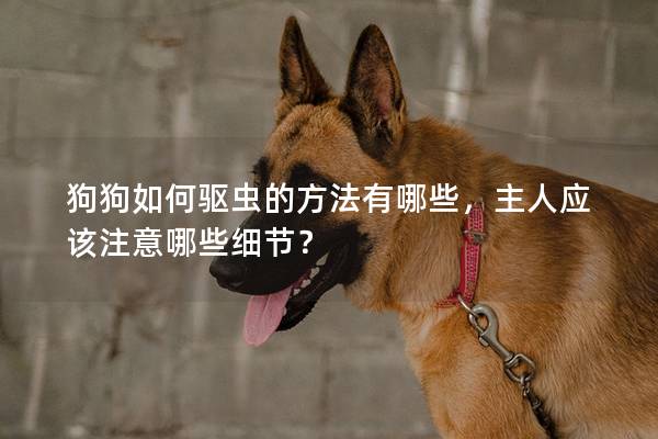 狗狗如何驅蟲的方法有哪些，主人應該注意哪些細節？