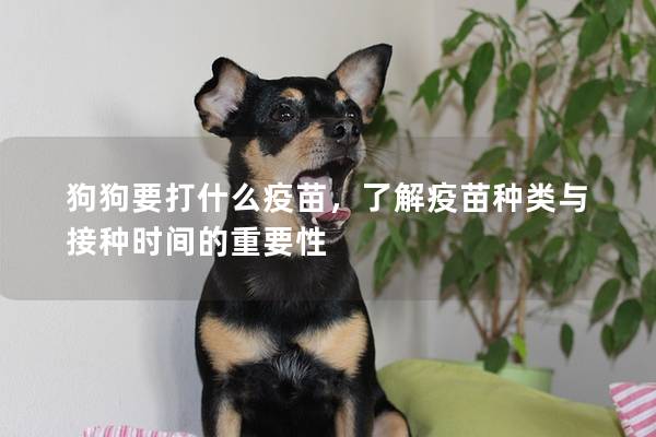 狗狗要打什么疫苗，了解疫苗種類與接種時間的重要性