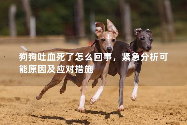 狗狗吐血死了怎么回事，緊急分析可能原因及應(yīng)對措施