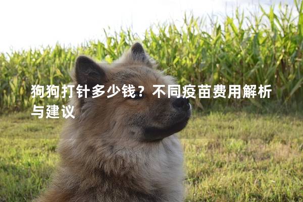 狗狗打針多少錢？不同疫苗費(fèi)用解析與建議