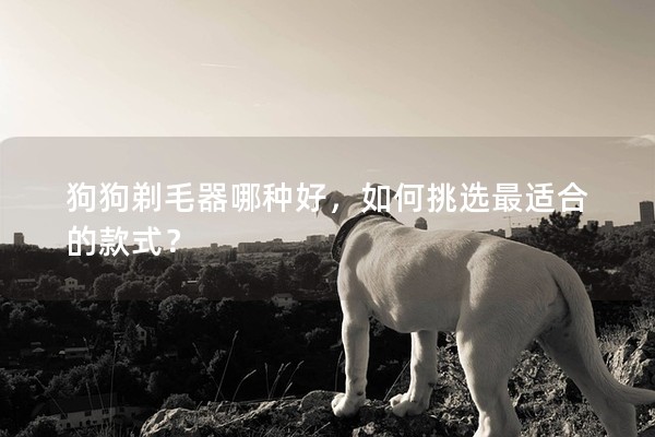 狗狗剃毛器哪種好，如何挑選最適合的款式？