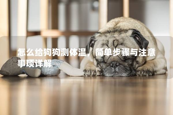 怎么給狗狗測體溫，簡單步驟與注意事項詳解