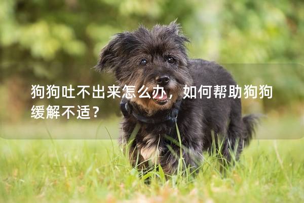 狗狗吐不出來怎么辦，如何幫助狗狗緩解不適？