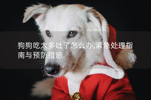 狗狗吃太多吐了怎么辦,緊急處理指南與預防措施