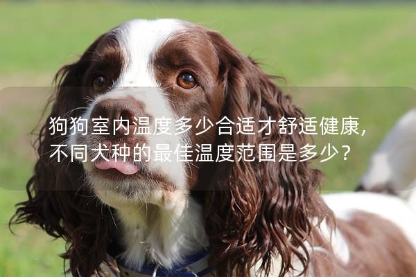 狗狗室內(nèi)溫度多少合適才舒適健康,不同犬種的最佳溫度范圍是多少？