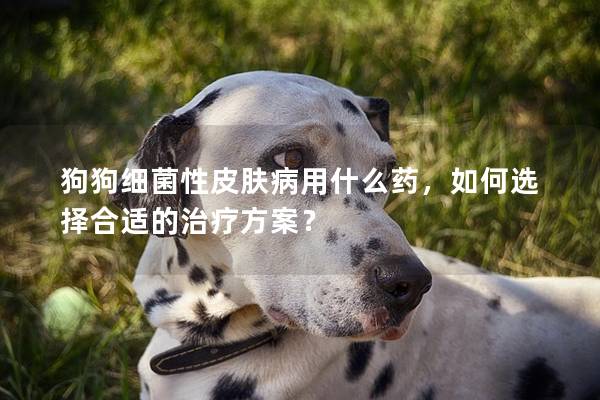 狗狗細菌性皮膚病用什么藥，如何選擇合適的治療方案？