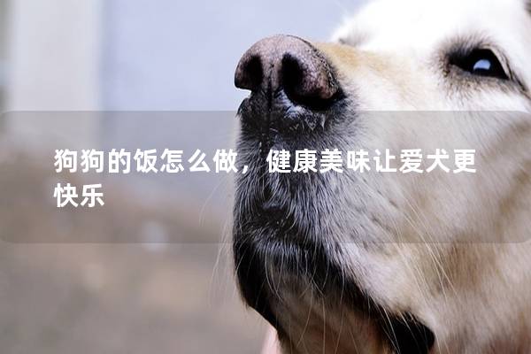 狗狗的飯怎么做，健康美味讓愛犬更快樂