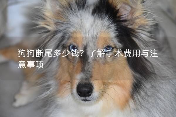 狗狗斷尾多少錢？了解手術(shù)費用與注意事項