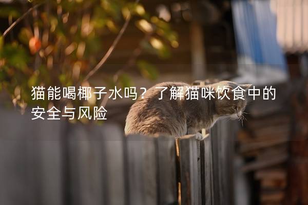 貓能喝椰子水嗎？了解貓咪飲食中的安全與風險