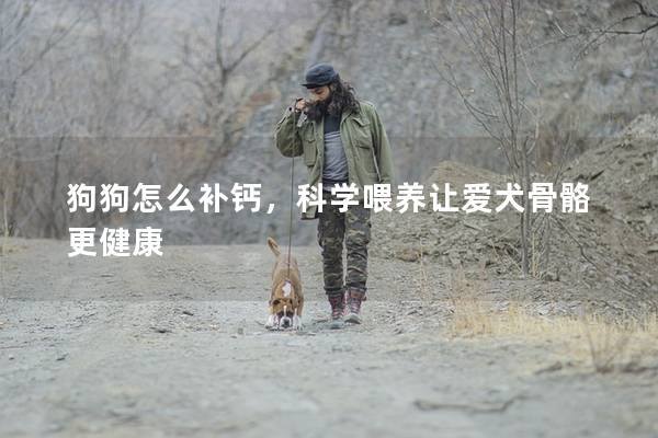 狗狗怎么補鈣，科學喂養讓愛犬骨骼更健康