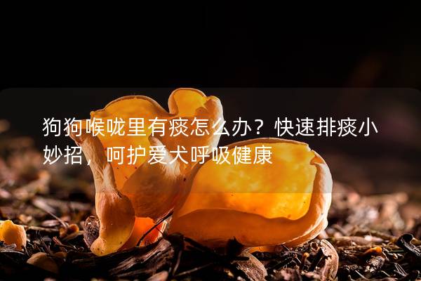 狗狗喉嚨里有痰怎么辦？快速排痰小妙招，呵護愛犬呼吸健康