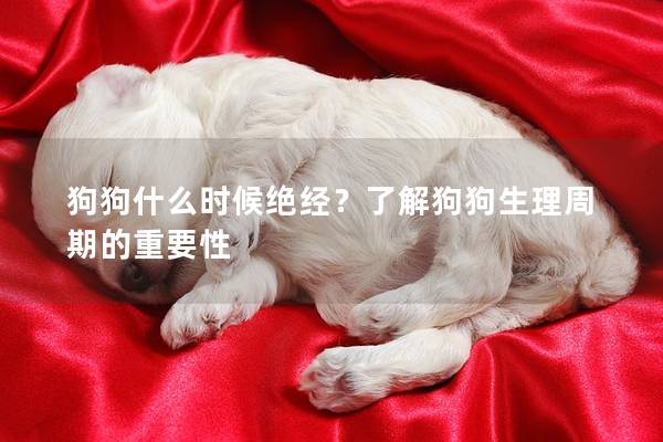 狗狗什么時候絕經？了解狗狗生理周期的重要性